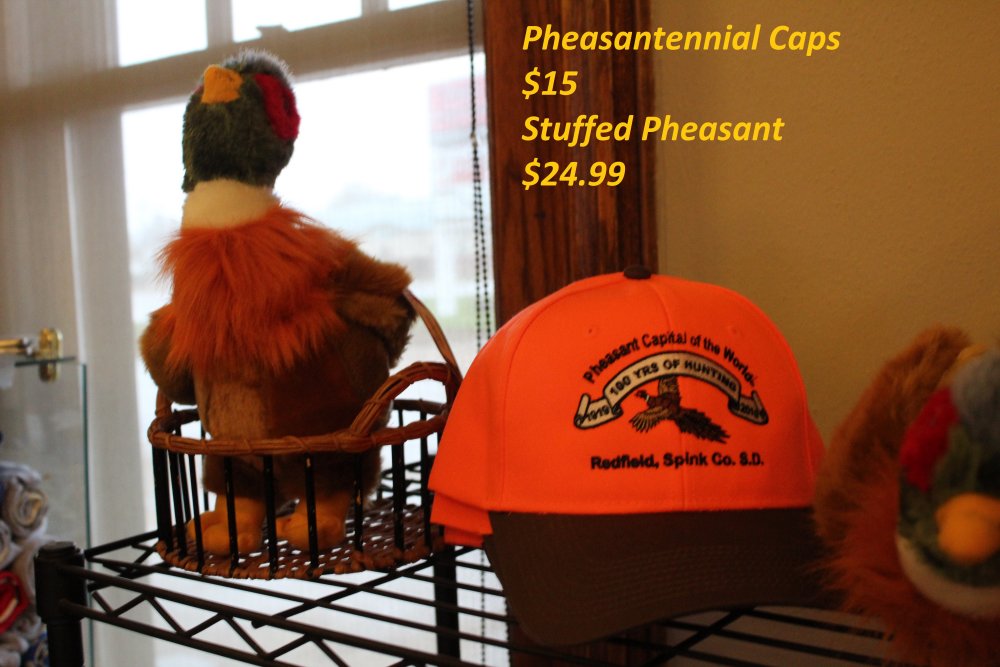 Pheasantennial Cap and Stuffed Pheasant